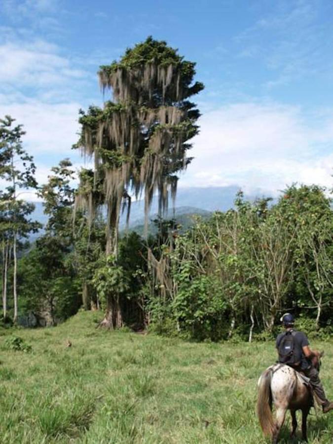 Hacienda Monteclaro Hotel Turrialba Kültér fotó