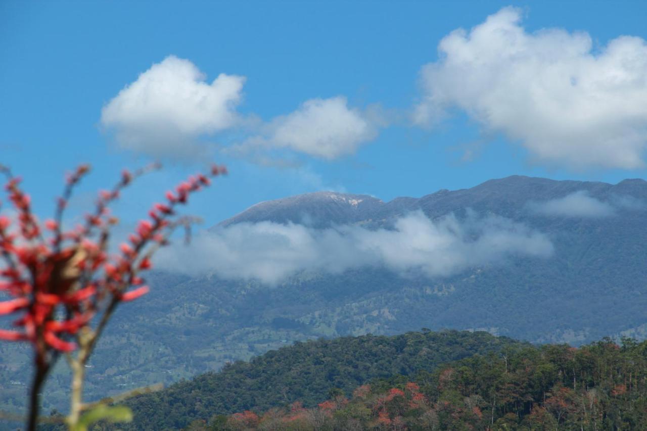 Hacienda Monteclaro Hotel Turrialba Szoba fotó