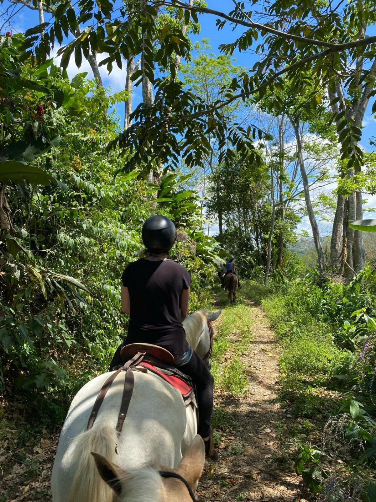 Hacienda Monteclaro Hotel Turrialba Kültér fotó