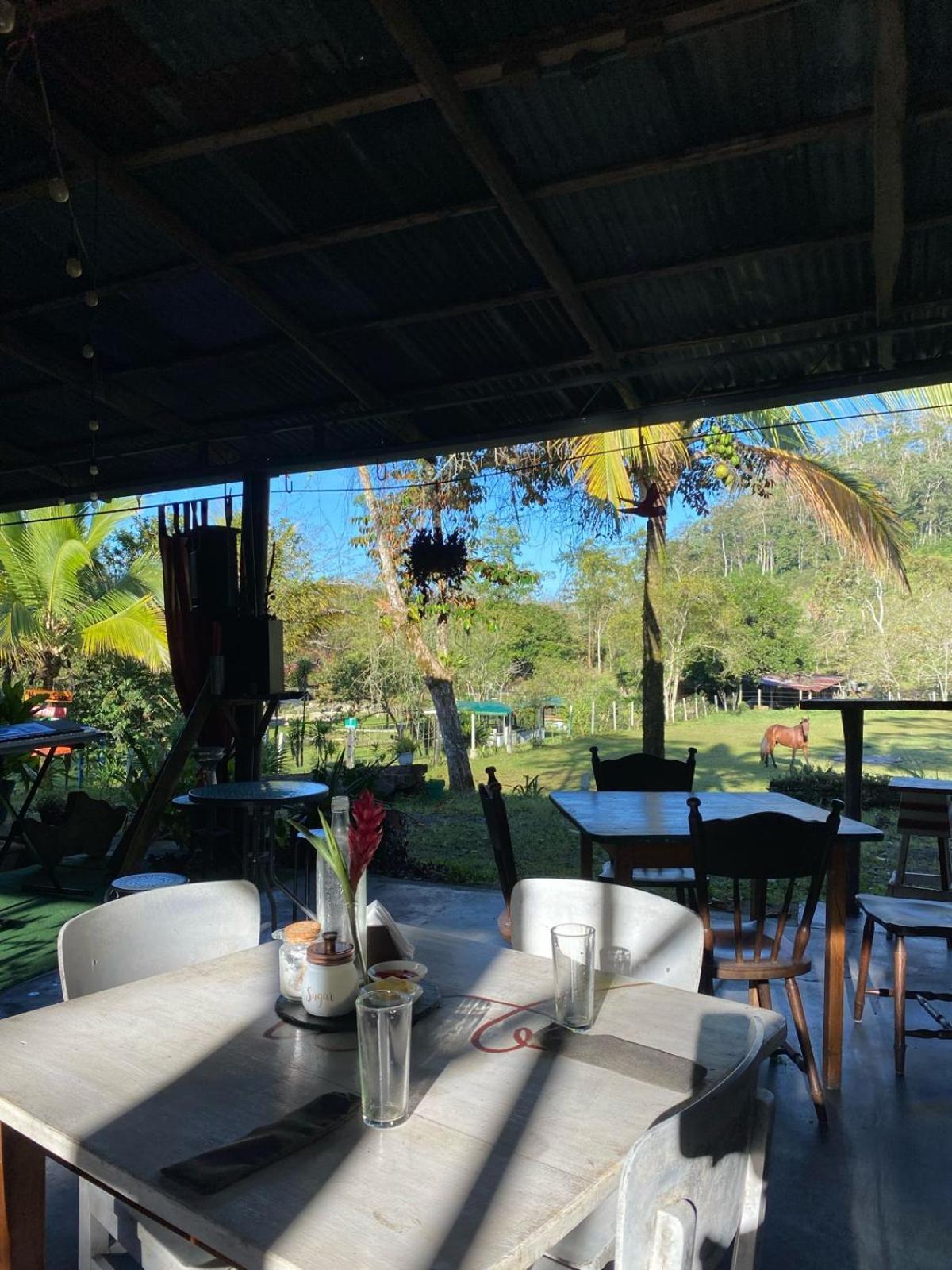 Hacienda Monteclaro Hotel Turrialba Kültér fotó