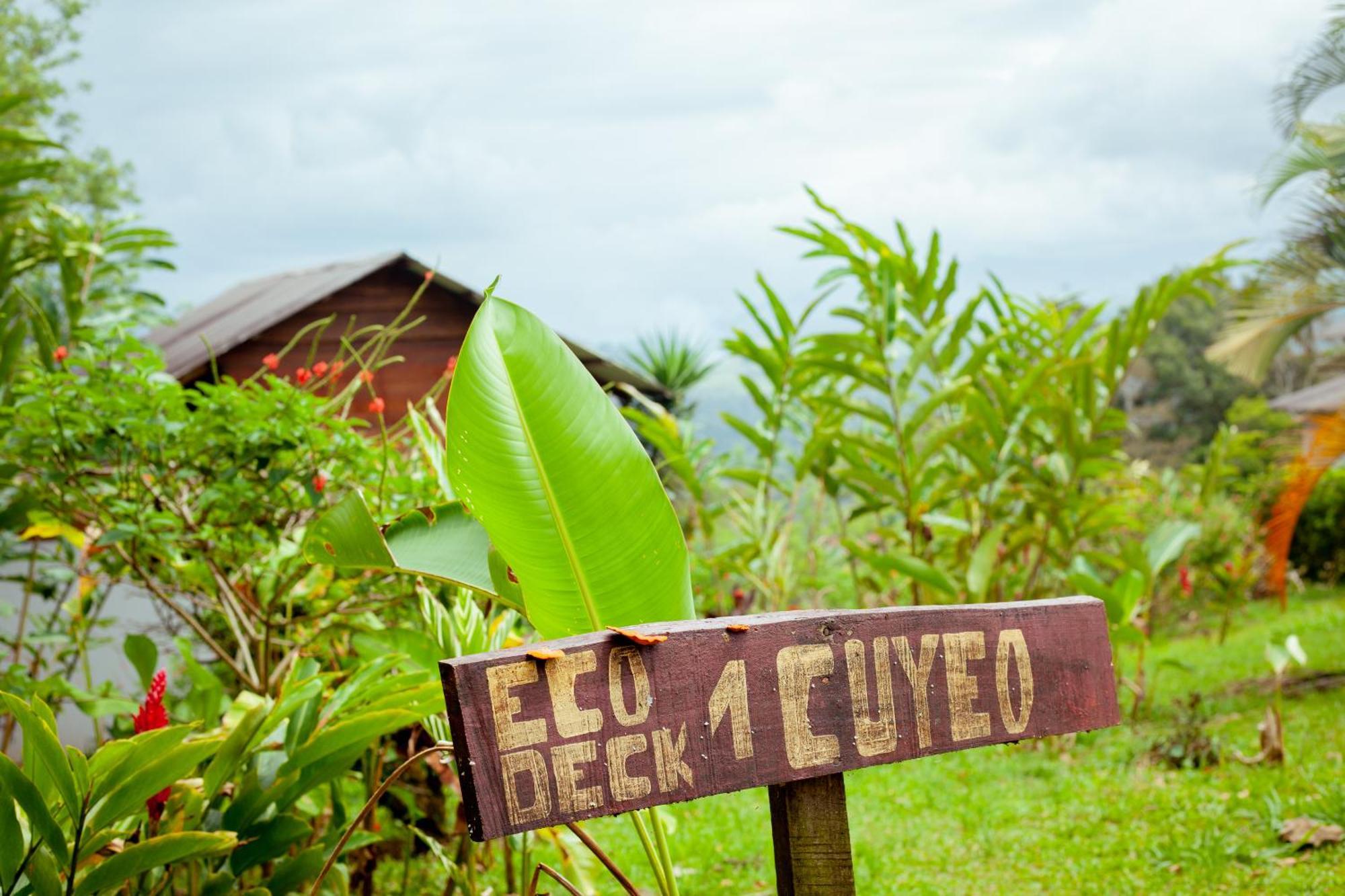 Hacienda Monteclaro Hotel Turrialba Kültér fotó
