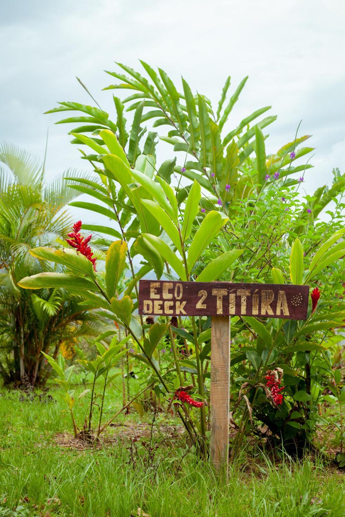Hacienda Monteclaro Hotel Turrialba Kültér fotó